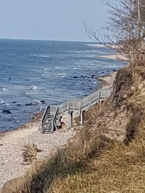 Dębina 8 marca 2020